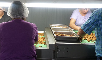 Selecci�n manual de las mejores almendras